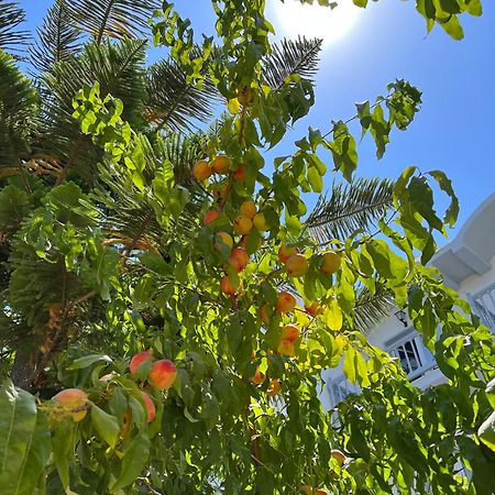 Theodorou Beach Hotel Apartments Psalidi  Dış mekan fotoğraf