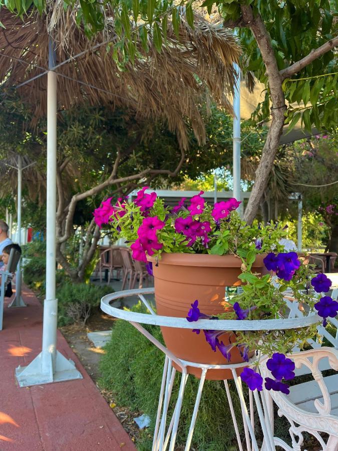 Theodorou Beach Hotel Apartments Psalidi  Dış mekan fotoğraf